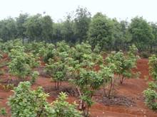 尊龙体育(中国区)官方网站