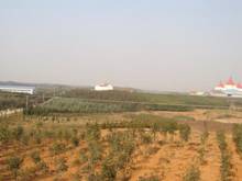 尊龙体育(中国区)官方网站