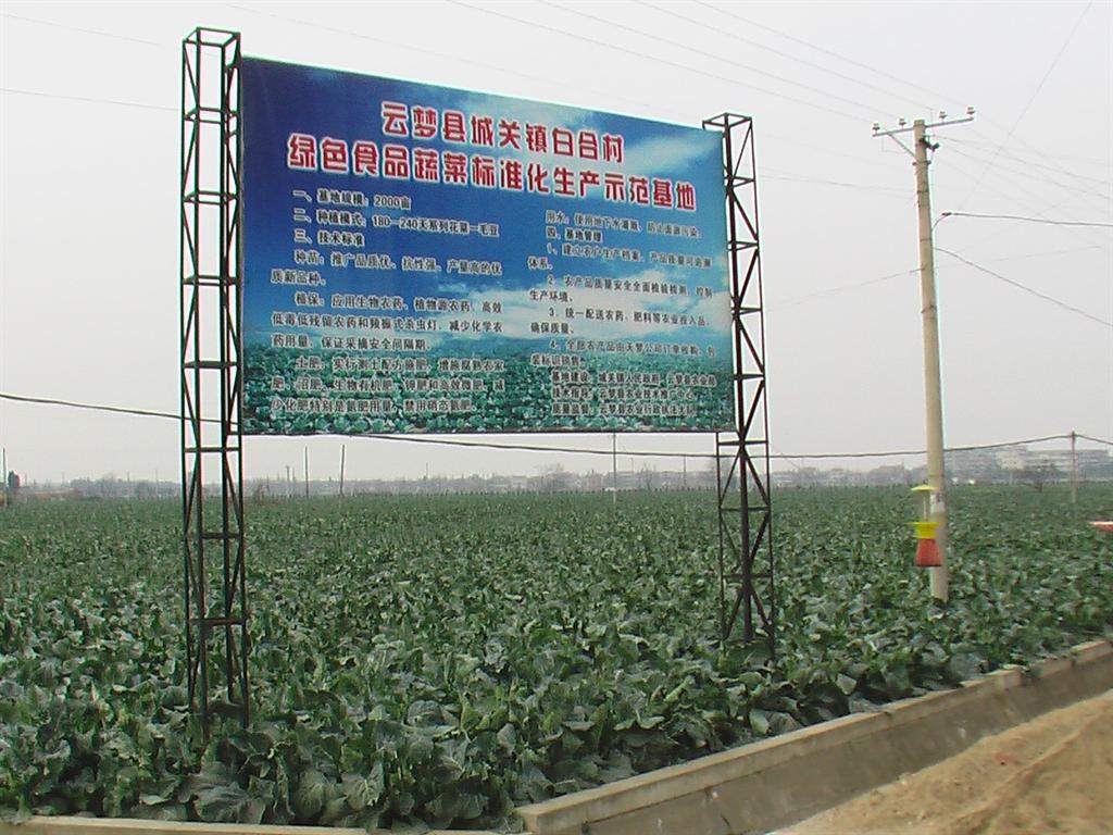 尊龙体育(中国区)官方网站