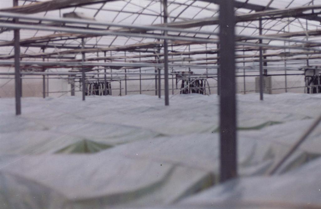 尊龙体育(中国区)官方网站