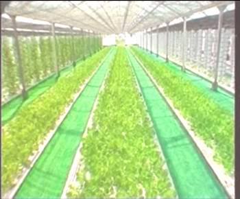 尊龙体育(中国区)官方网站